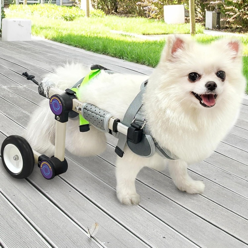 Dog Wheelchair Back Hind Legs Mobility Support Lightweight Adjustable ‎ XXSmall